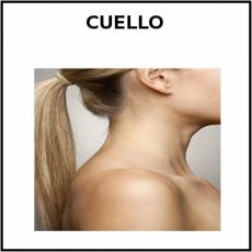 CUELLO - Foto