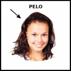 PELO - Foto