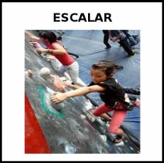 ESCALAR - Foto