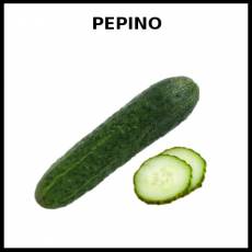 PEPINO - Foto