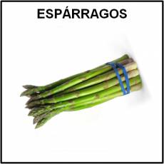 ESPÁRRAGOS - Foto