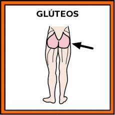 GLÚTEOS - Pictograma (color)