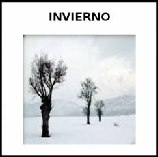 INVIERNO - Foto