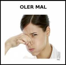 OLER MAL - Foto