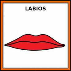 LABIOS - Pictograma (color)