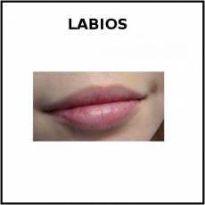 LABIOS - Foto