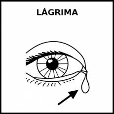 LÁGRIMA - Pictograma (blanco y negro)