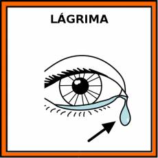 LÁGRIMA - Pictograma (color)