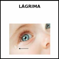 LÁGRIMA - Foto
