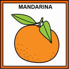 MANDARINA - Pictograma (color)