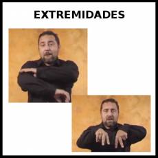 EXTREMIDADES - Signo