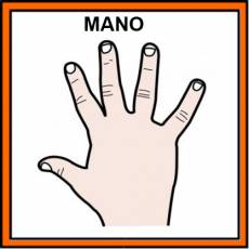 MANO - Pictograma (color)