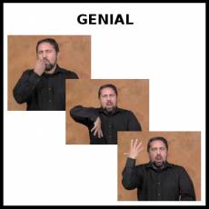 GENIAL - Signo