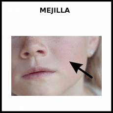 MEJILLA - Foto