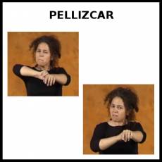PELLIZCAR - Signo