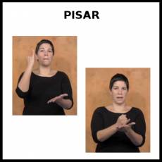 PISAR - Signo
