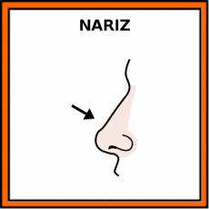 NARIZ - Pictograma (color)