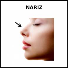 NARIZ - Foto