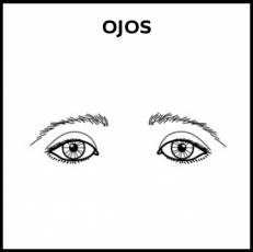 OJOS - Pictograma (blanco y negro)