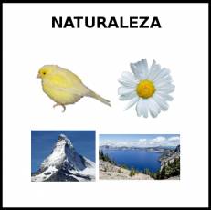 NATURALEZA - Foto