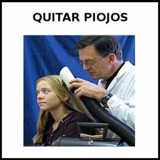 QUITAR PIOJOS - Foto
