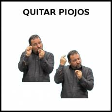 QUITAR PIOJOS - Signo