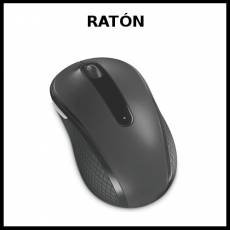 RATÓN (ORDENADOR) - Foto