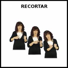 RECORTAR - Signo