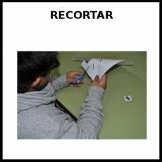 RECORTAR - Foto