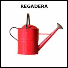 REGADERA - Foto