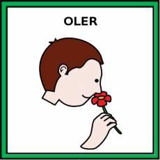 OLER - Pictograma (color)