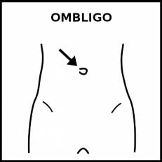 OMBLIGO - Pictograma (blanco y negro)