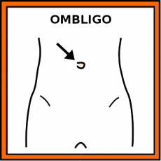 OMBLIGO - Pictograma (color)