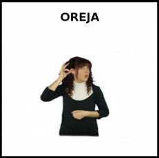 OREJA - Signo