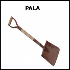 PALA - Foto