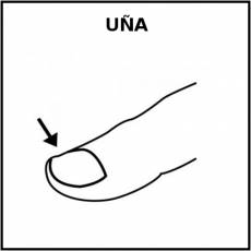 UÑA - Pictograma (blanco y negro)
