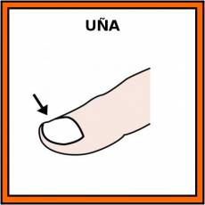 UÑA - Pictograma (color)