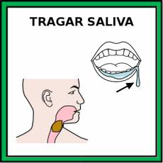 TRAGAR SALIVA - Pictograma (color)
