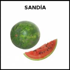 SANDÍA - Foto