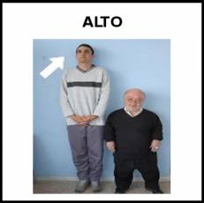 ALTO - Foto