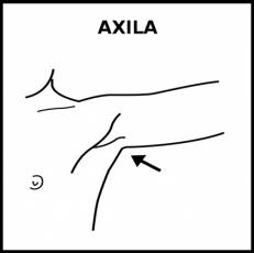 AXILA - Pictograma (blanco y negro)
