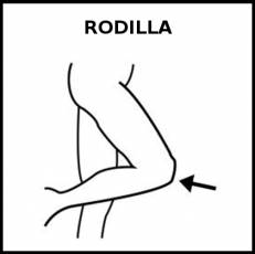 RODILLA - Pictograma (blanco y negro)