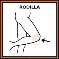 RODILLA - Pictograma (color)