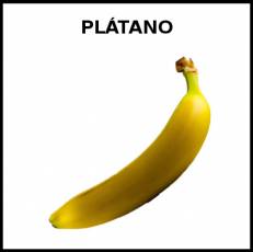 PLÁTANO - Foto