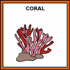 CORAL (ANIMAL) - Pictograma (color)