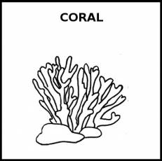 CORAL (ANIMAL) - Pictograma (blanco y negro)