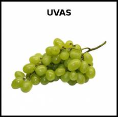 UVAS - Foto
