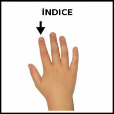 ÍNDICE (DEDO) - Foto
