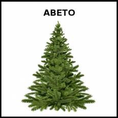 ABETO - Foto