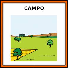 CAMPO - Pictograma (color)